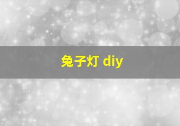 兔子灯 diy